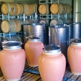 Amphora wine